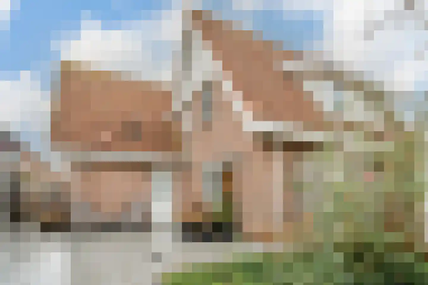 Meester Geensenweg 8 Petten thumbnail 50