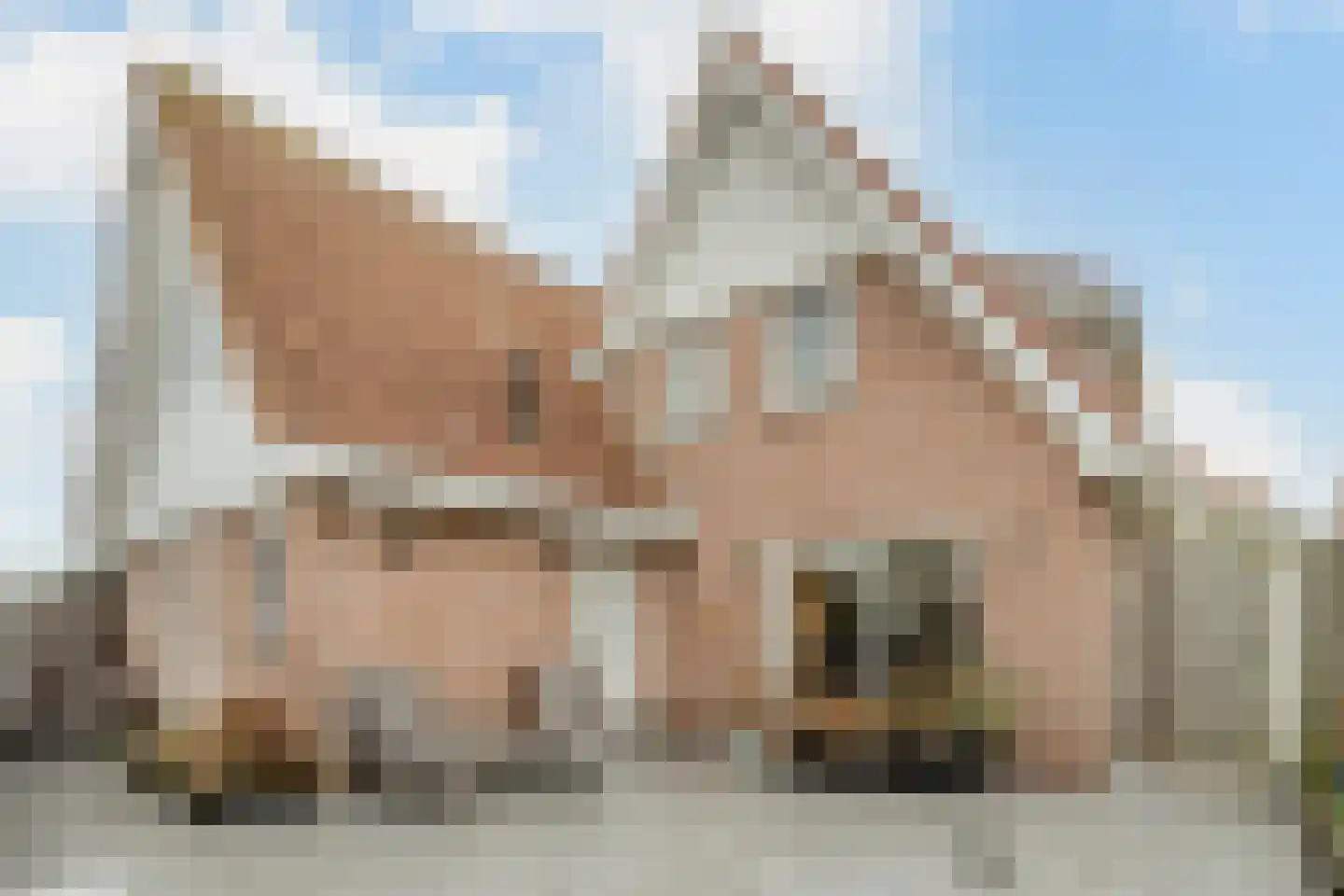 Meester Geensenweg 8 Petten thumbnail 51