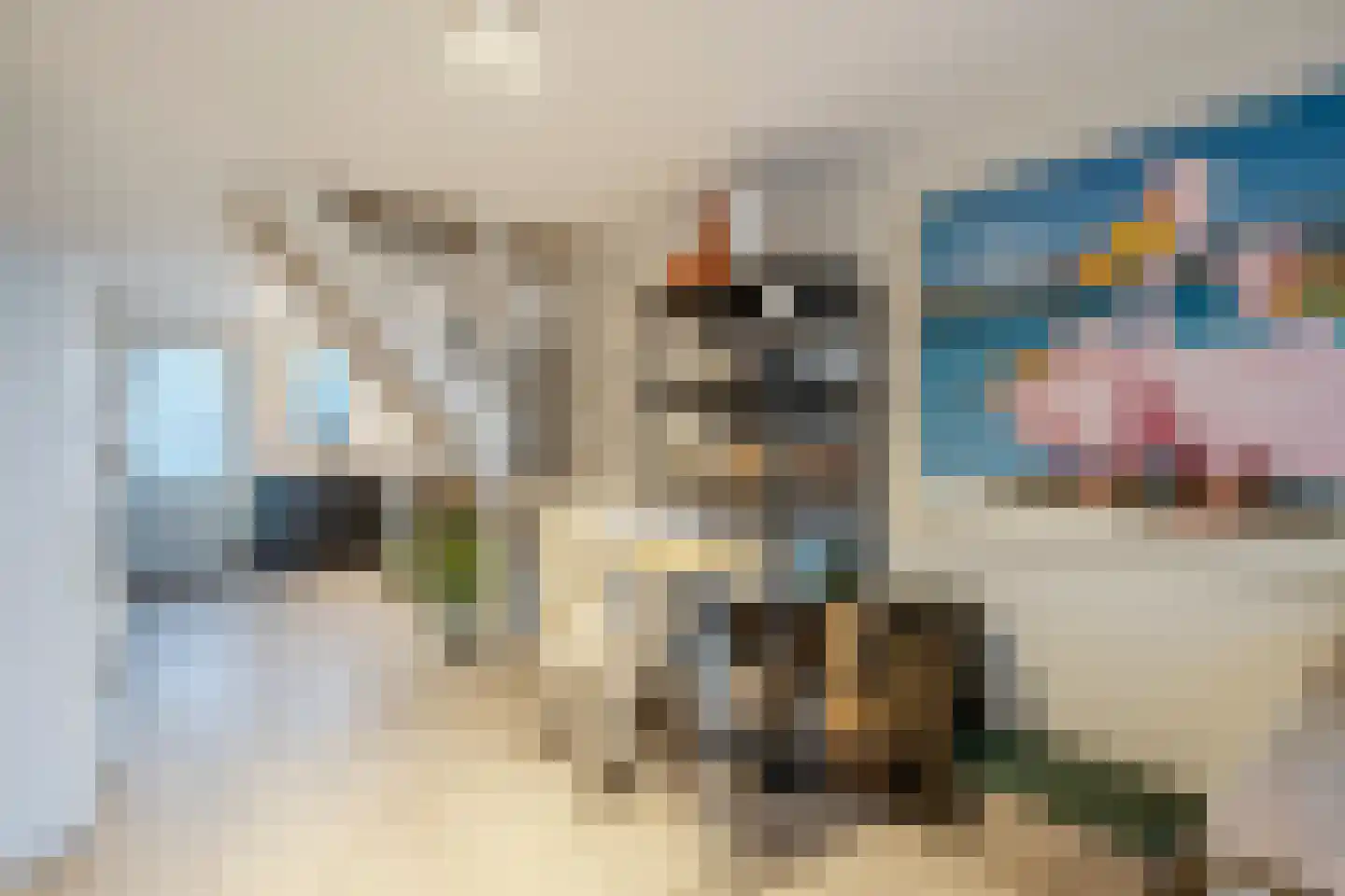 Meester Geensenweg 8 Petten thumbnail 54
