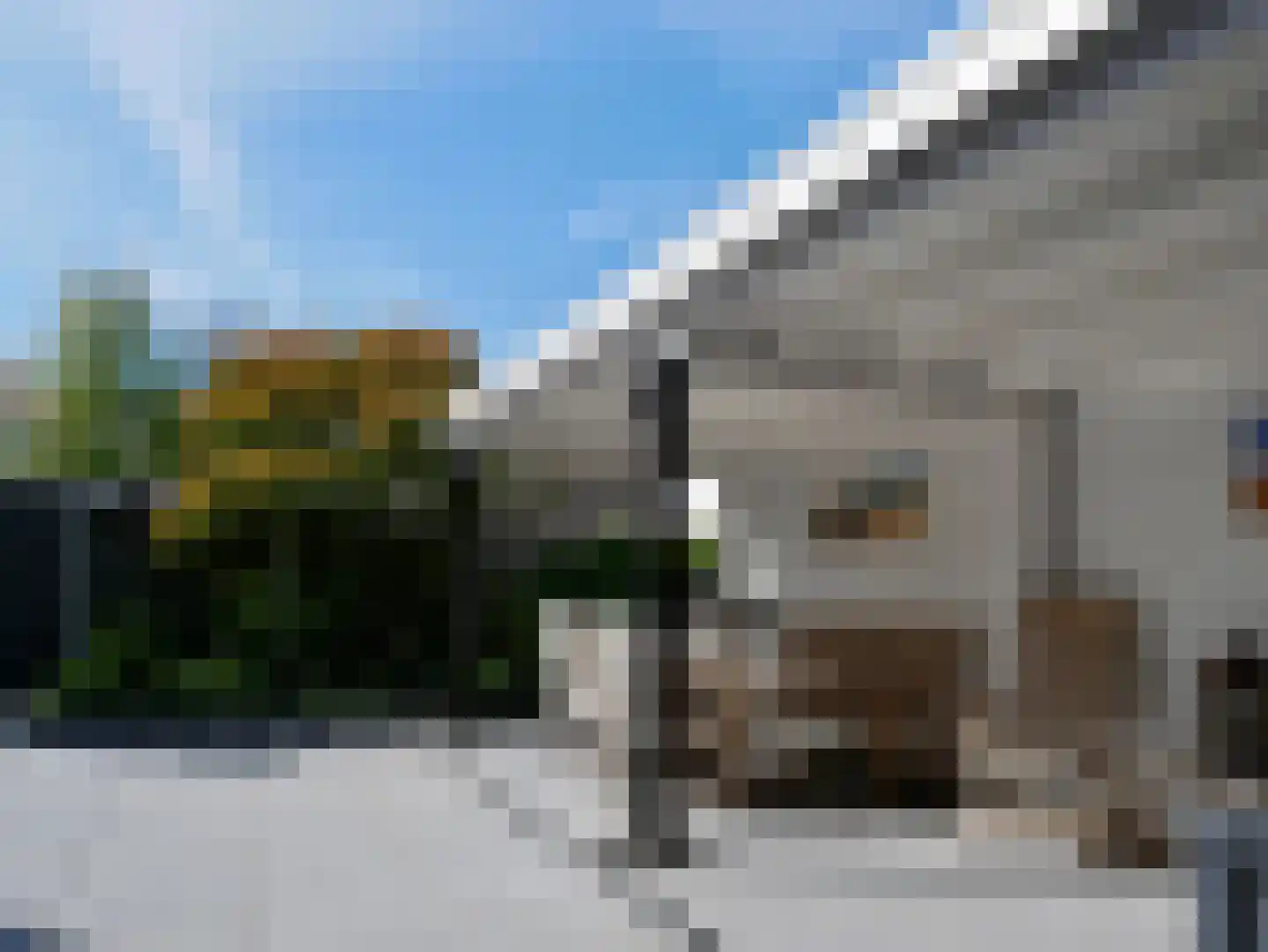 Meester Geensenweg 8 Petten thumbnail 58