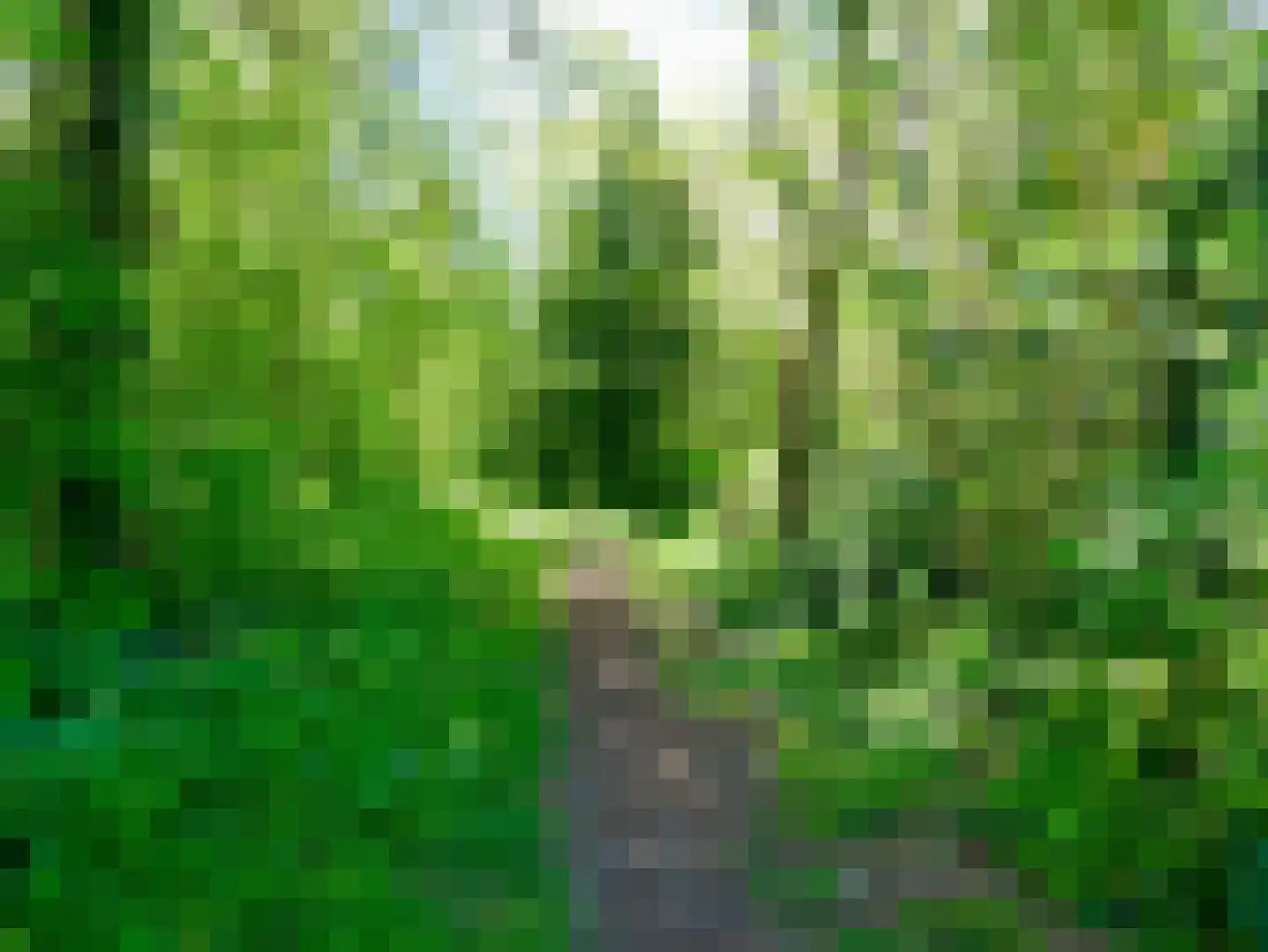 Meester Geensenweg 8 Petten thumbnail 65