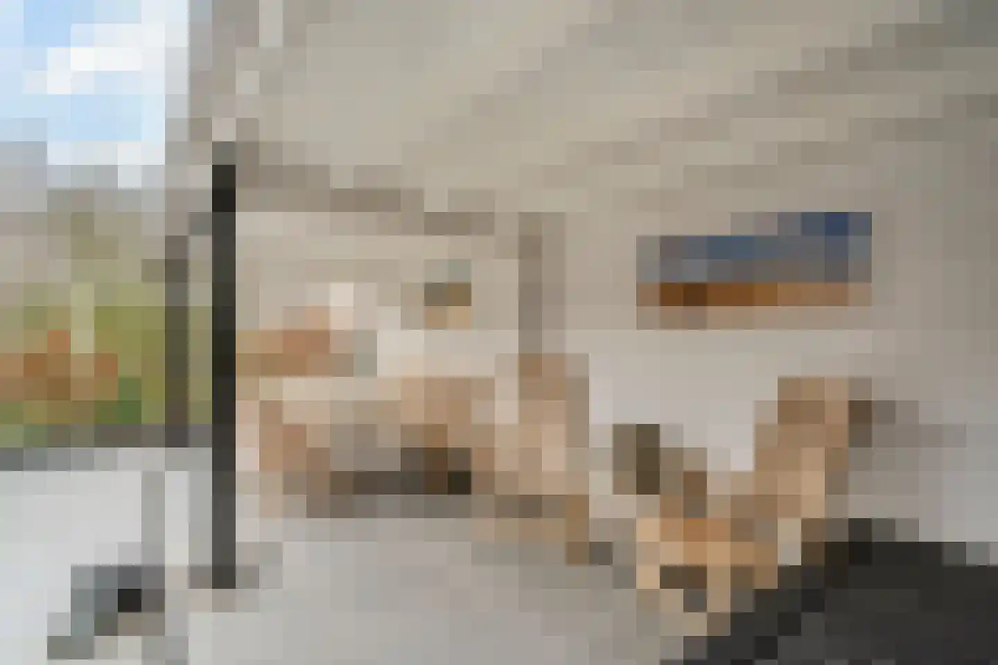 Meester Geensenweg 8 Petten thumbnail 64
