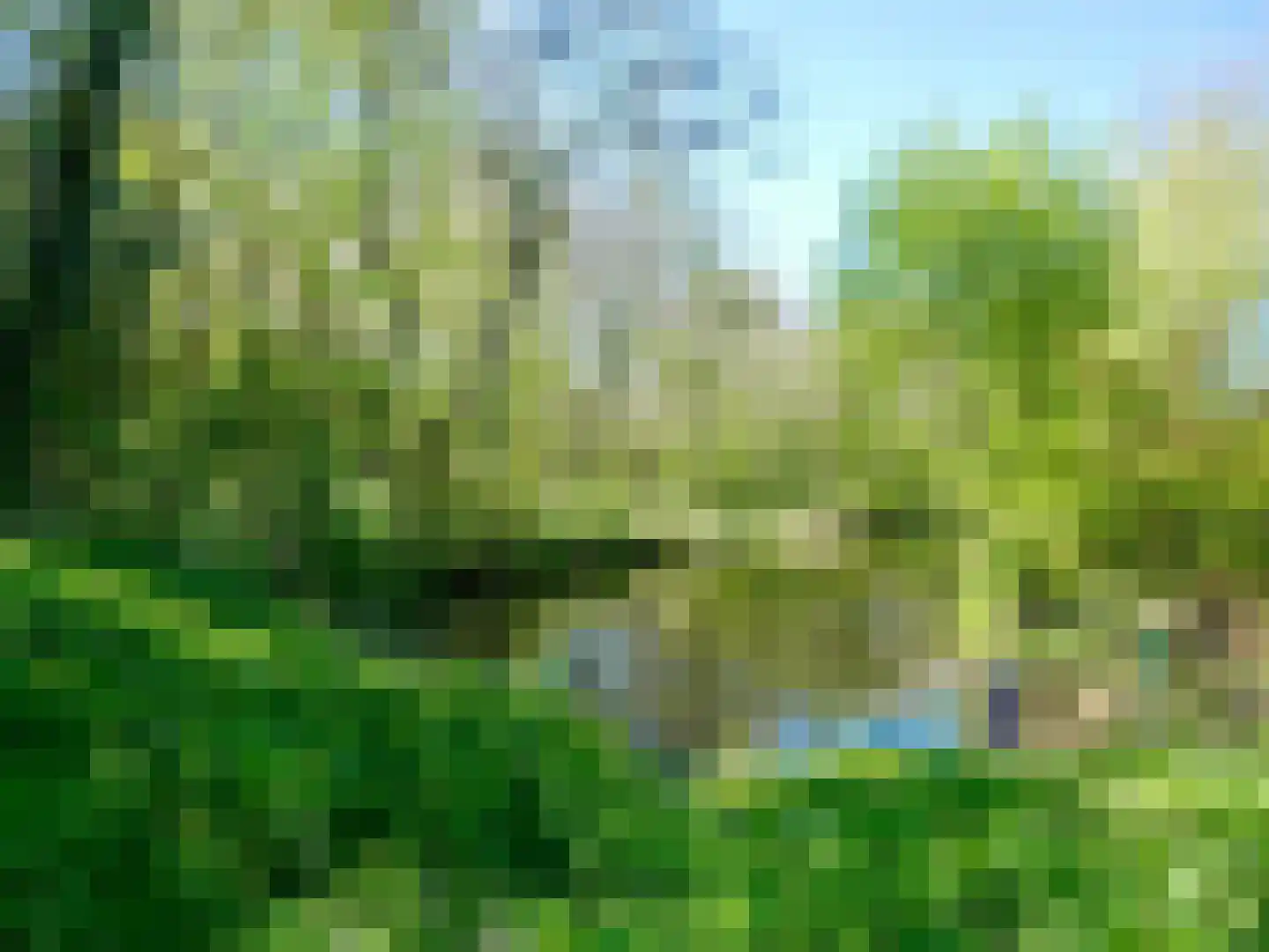 Meester Geensenweg 8 Petten thumbnail 66