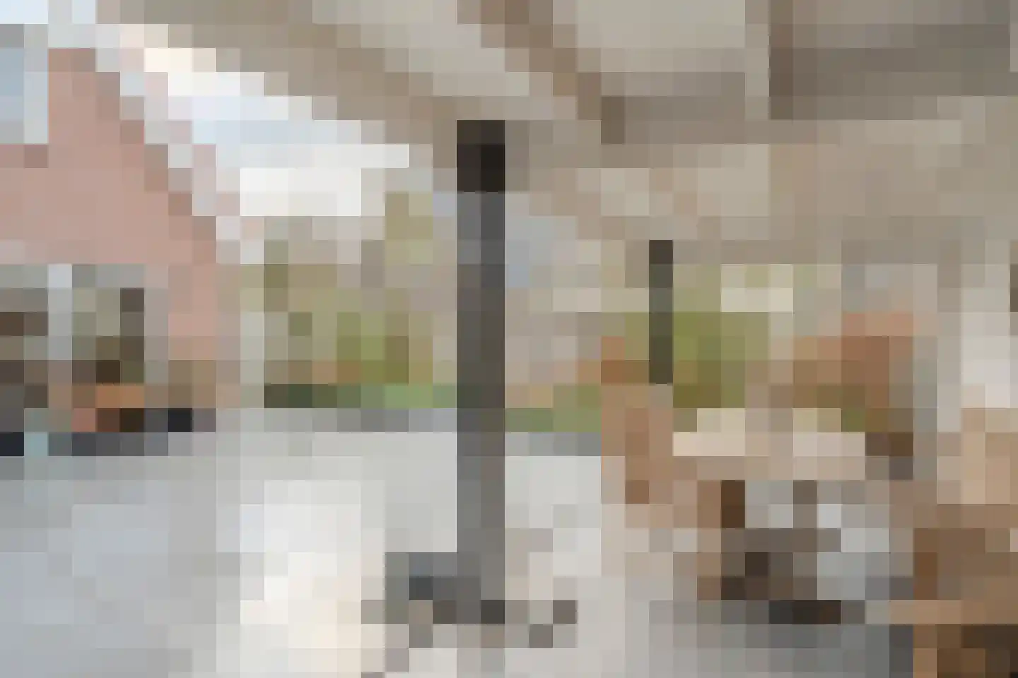 Meester Geensenweg 8 Petten thumbnail 65