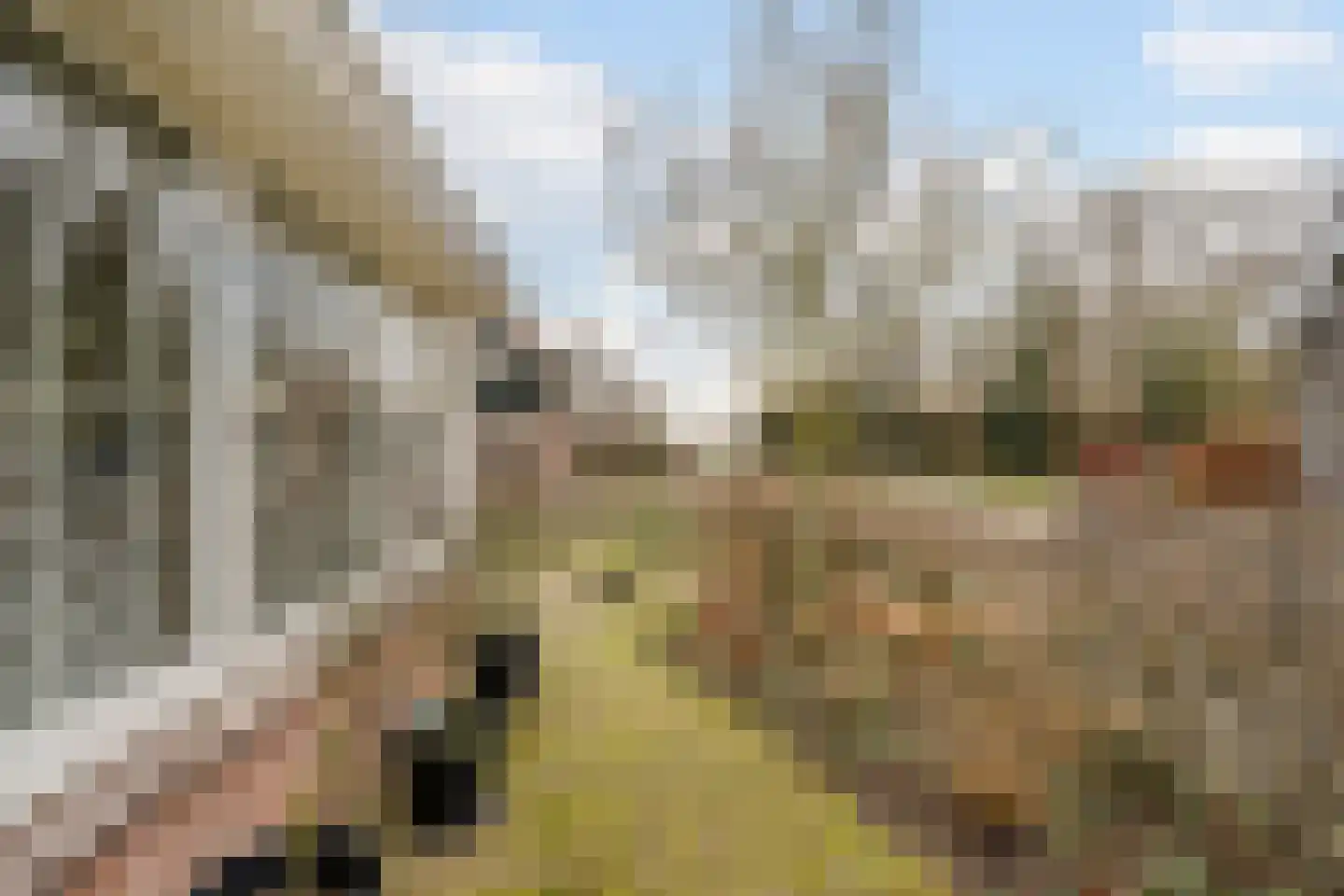 Meester Geensenweg 8 Petten thumbnail 66