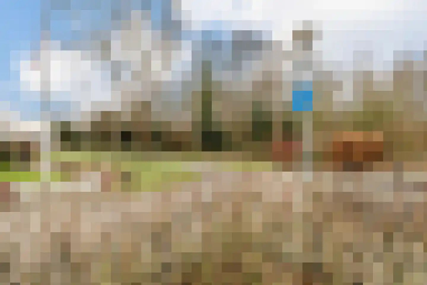 Meester Geensenweg 8 Petten thumbnail 68