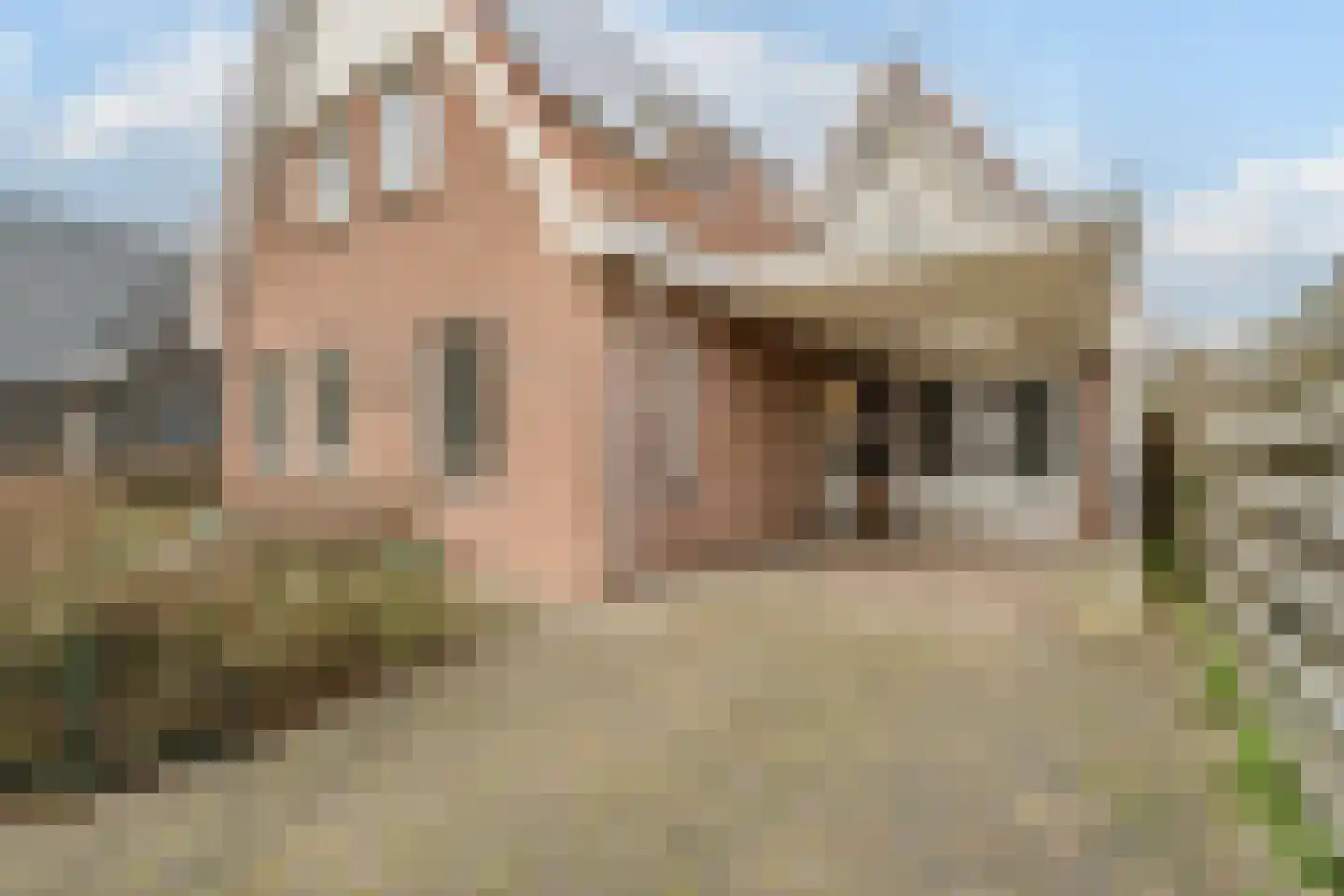 Meester Geensenweg 8 Petten thumbnail 7