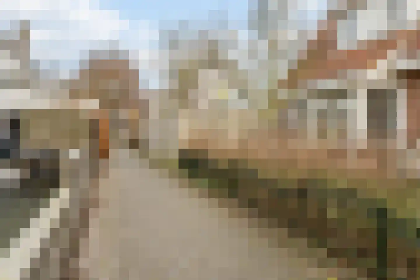 Meester Geensenweg 8 Petten thumbnail 69
