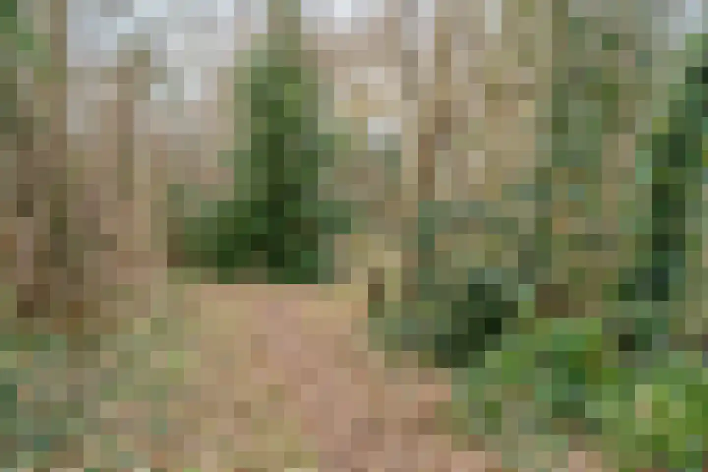 Meester Geensenweg 8 Petten thumbnail 70