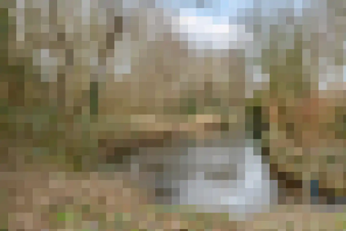 Meester Geensenweg 8 Petten thumbnail 71