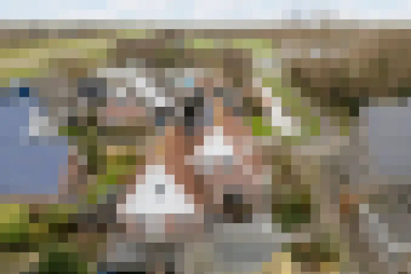 Meester Geensenweg 8 Petten thumbnail 73