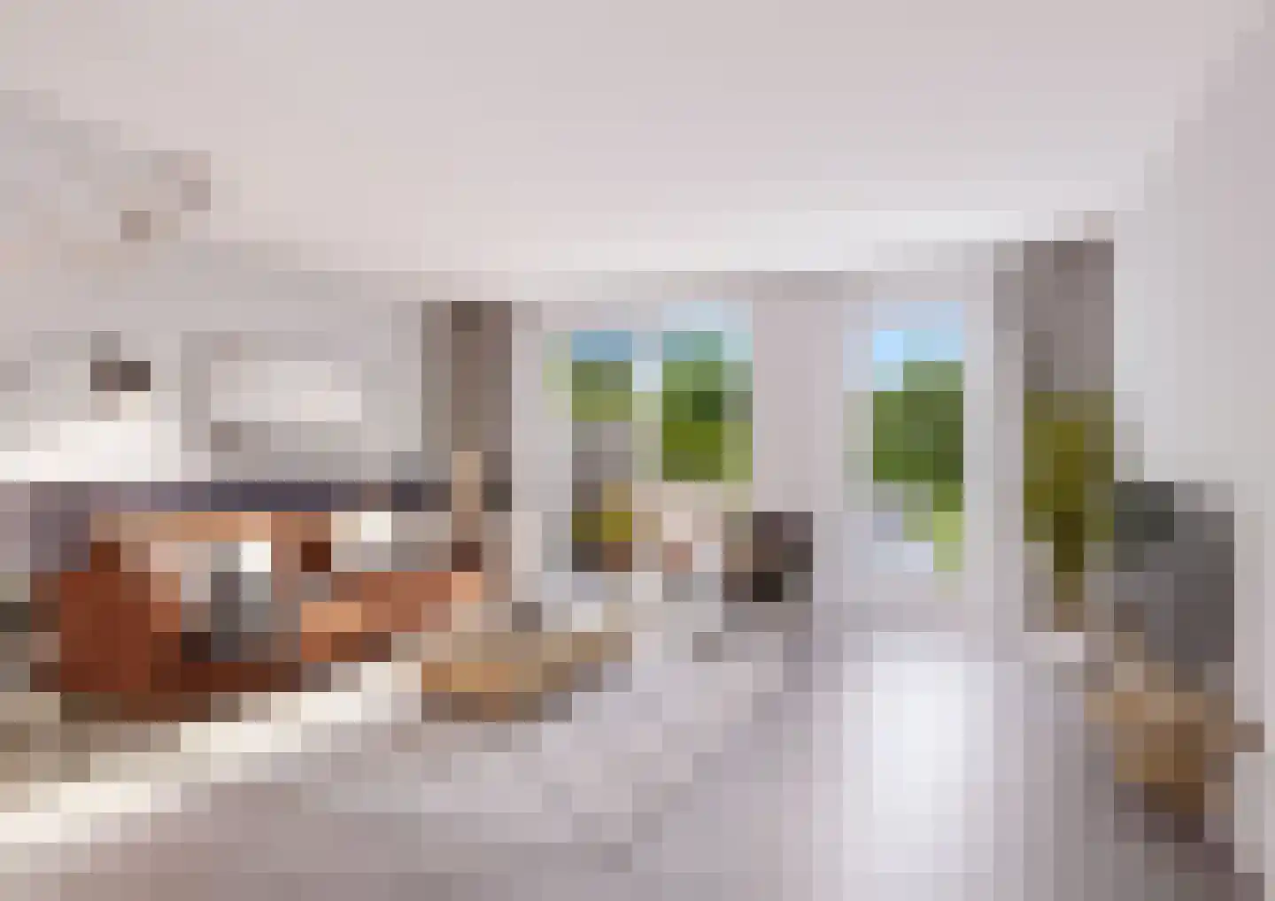 Meester Geertswei 4 Wijnjewoude foto 2