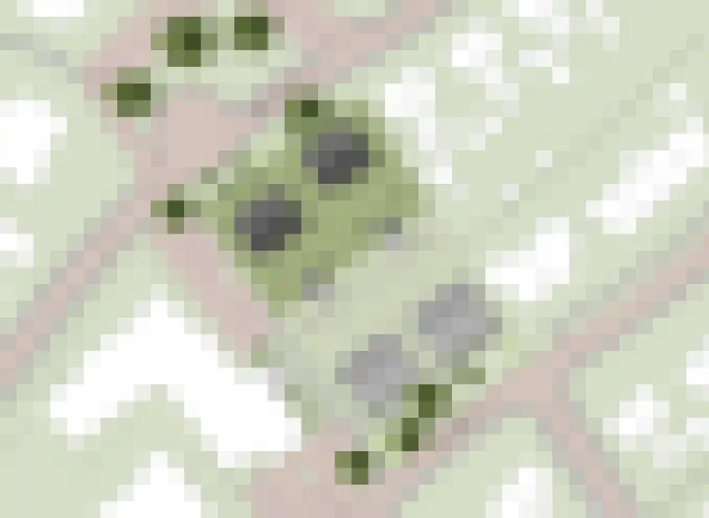 Meester Geertswei 4 Wijnjewoude thumbnail 5
