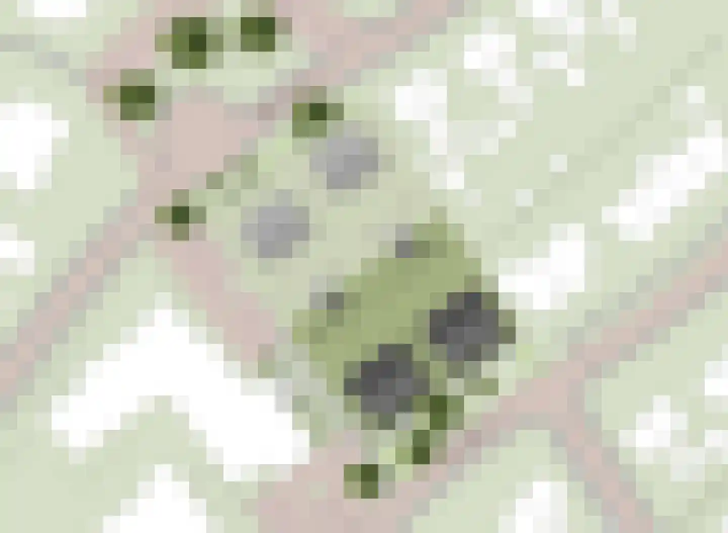 Meester Geertswei 8 Wijnjewoude thumbnail 5