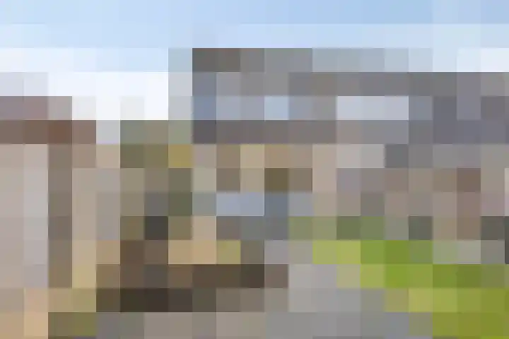 Meester Gepkensstraat 8 's-Hertogenbosch thumbnail 29