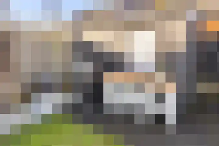 Meester Gepkensstraat 8 's-Hertogenbosch thumbnail 32