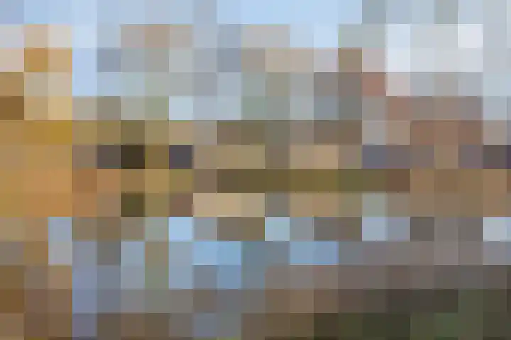 Meester Gepkensstraat 8 's-Hertogenbosch thumbnail 33