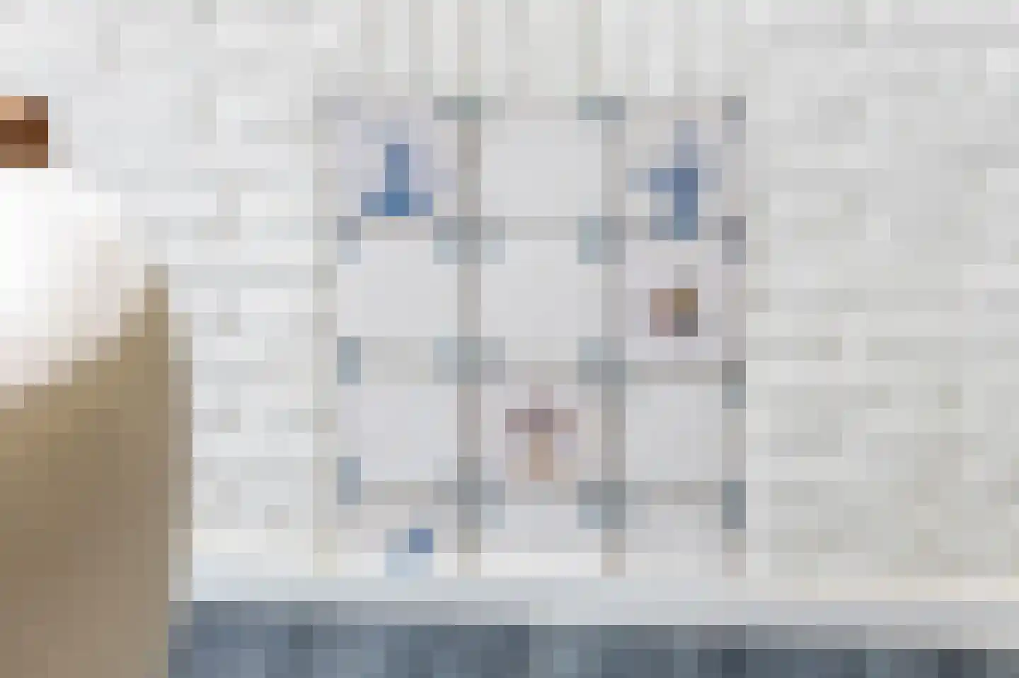 Meester Gerritsweg 2 Eesveen thumbnail 15