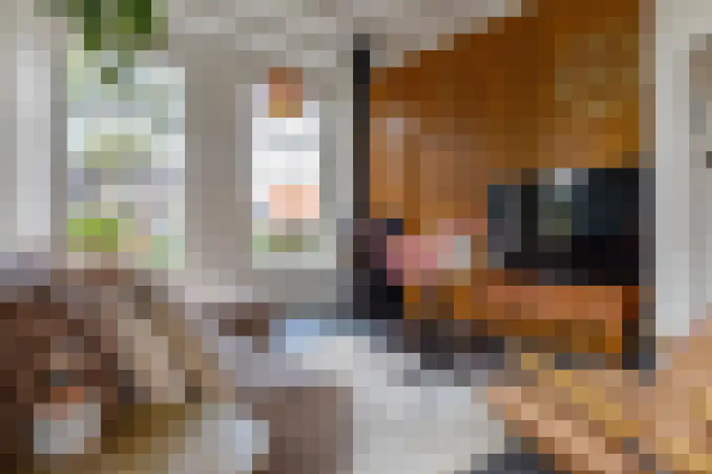 Meester Gerritsweg 2 Eesveen thumbnail 21