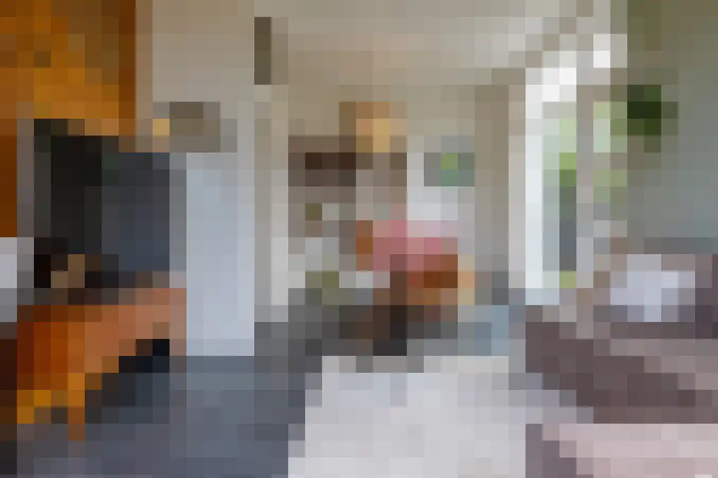 Meester Gerritsweg 2 Eesveen thumbnail 23