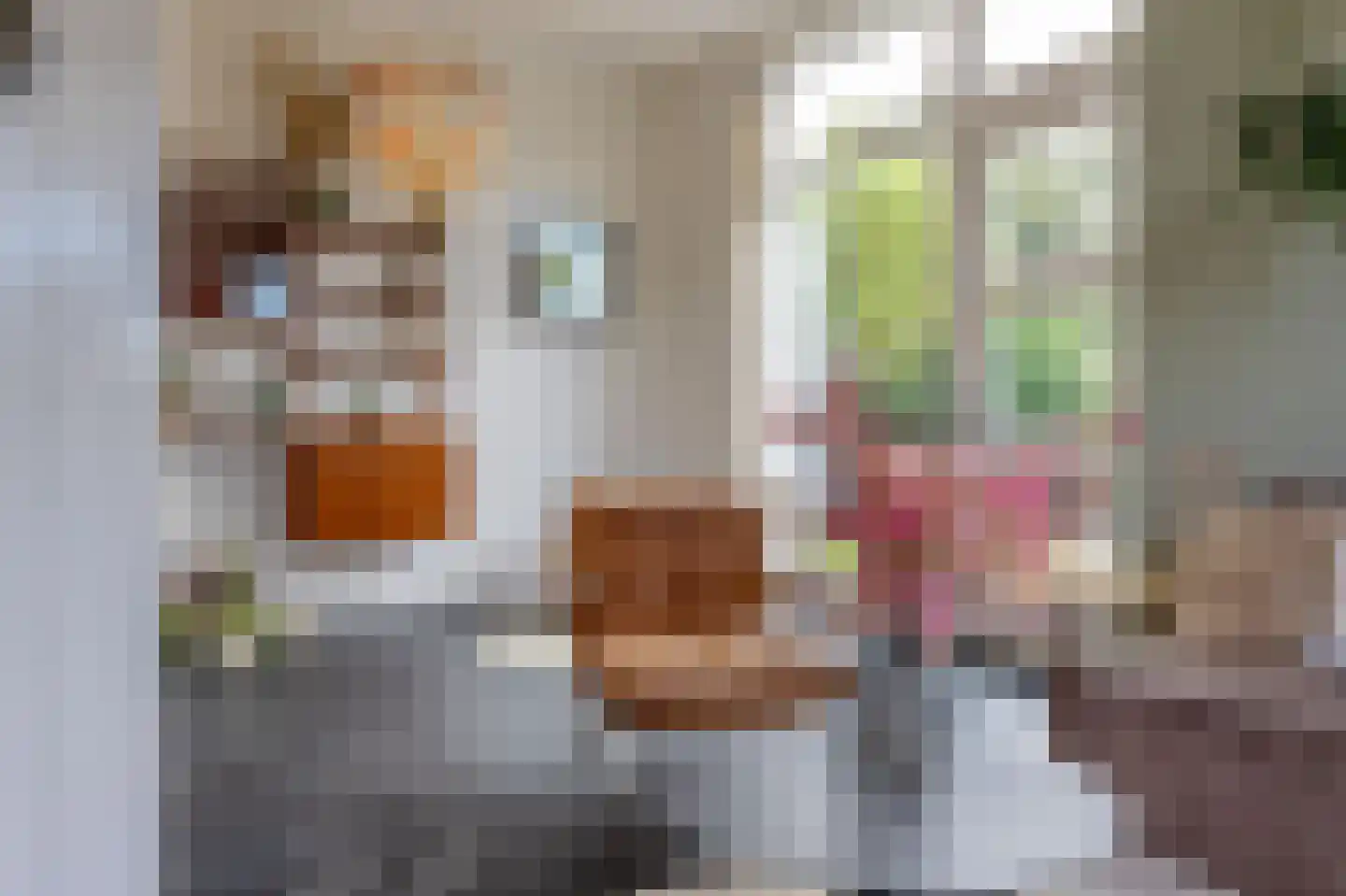 Meester Gerritsweg 2 Eesveen thumbnail 24