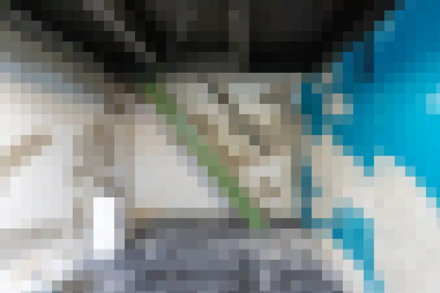 Meester Gerritsweg 2 Eesveen thumbnail 25