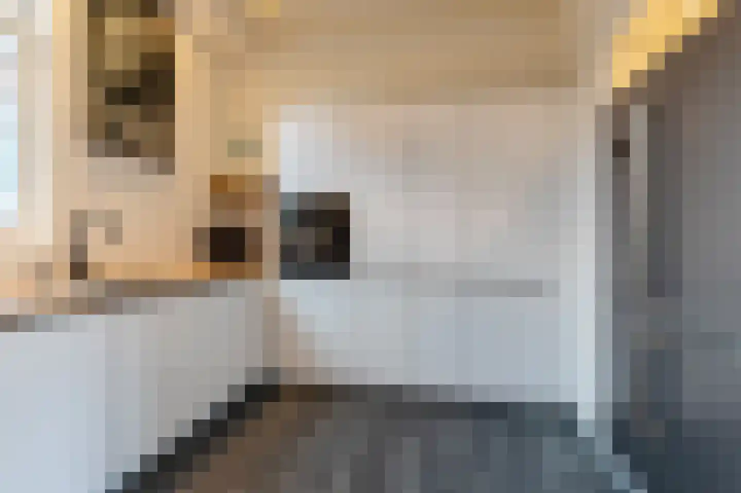 Meester Gerritsweg 2 Eesveen foto 3