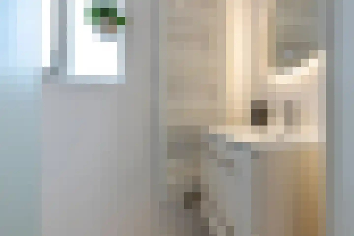 Meester Gerritsweg 2 Eesveen thumbnail 30