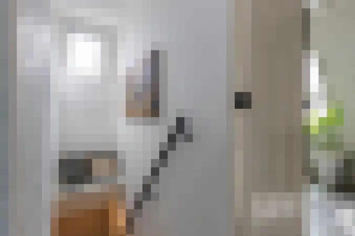 Meester Gerritsweg 2 Eesveen thumbnail 32