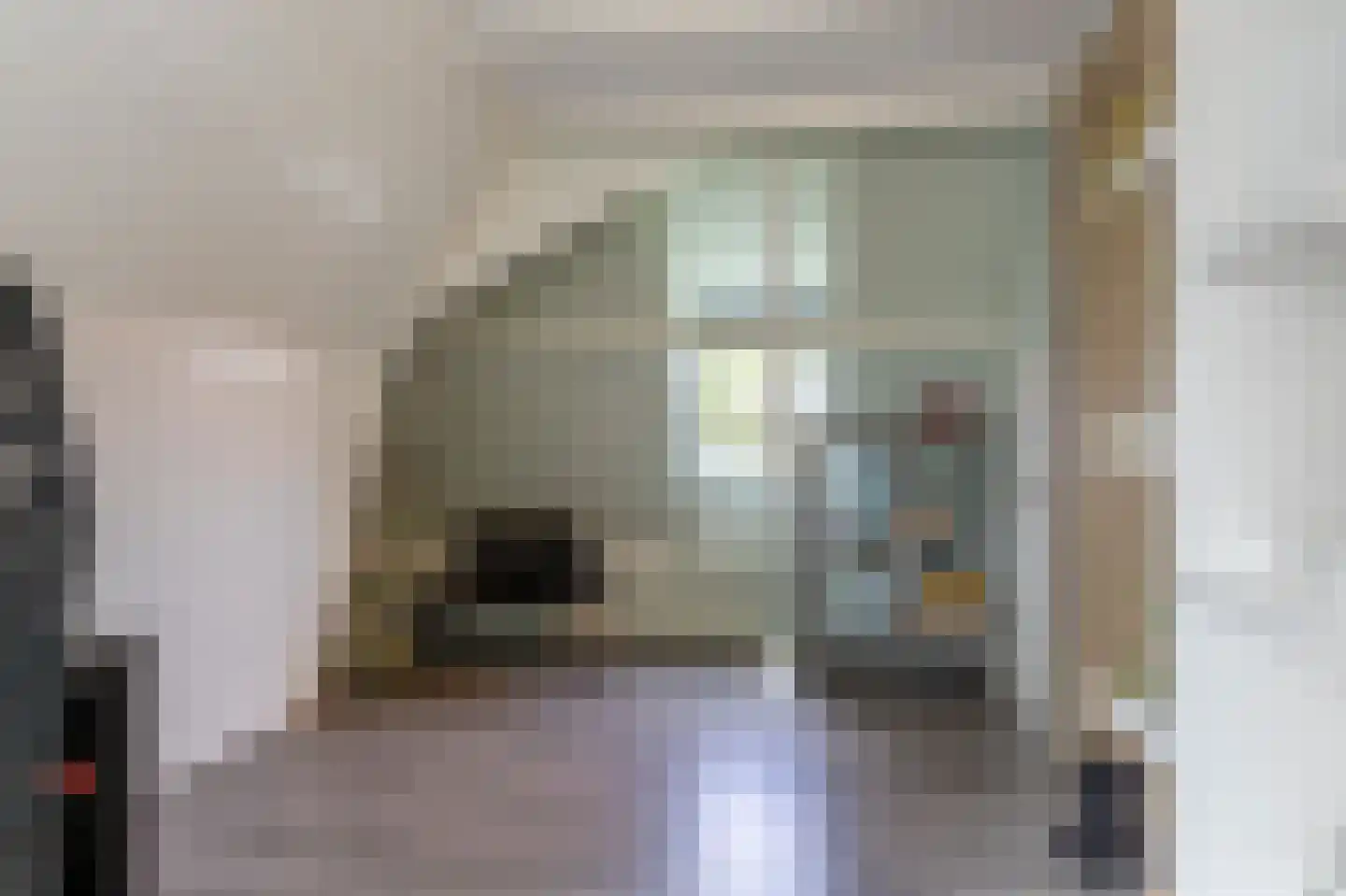 Meester Gerritsweg 2 Eesveen thumbnail 34