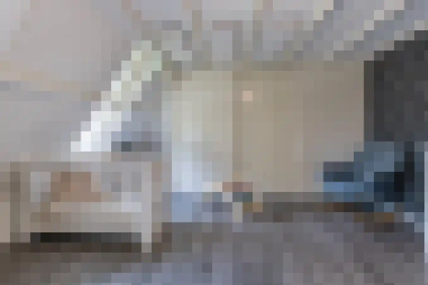 Meester Gerritsweg 2 Eesveen thumbnail 35