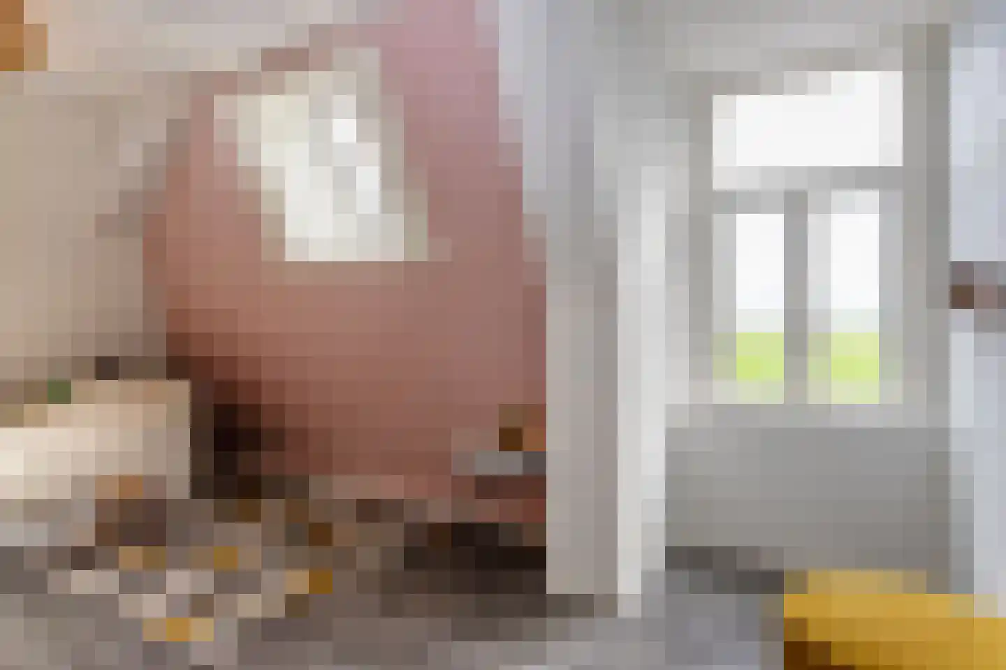 Meester Gerritsweg 2 Eesveen thumbnail 38