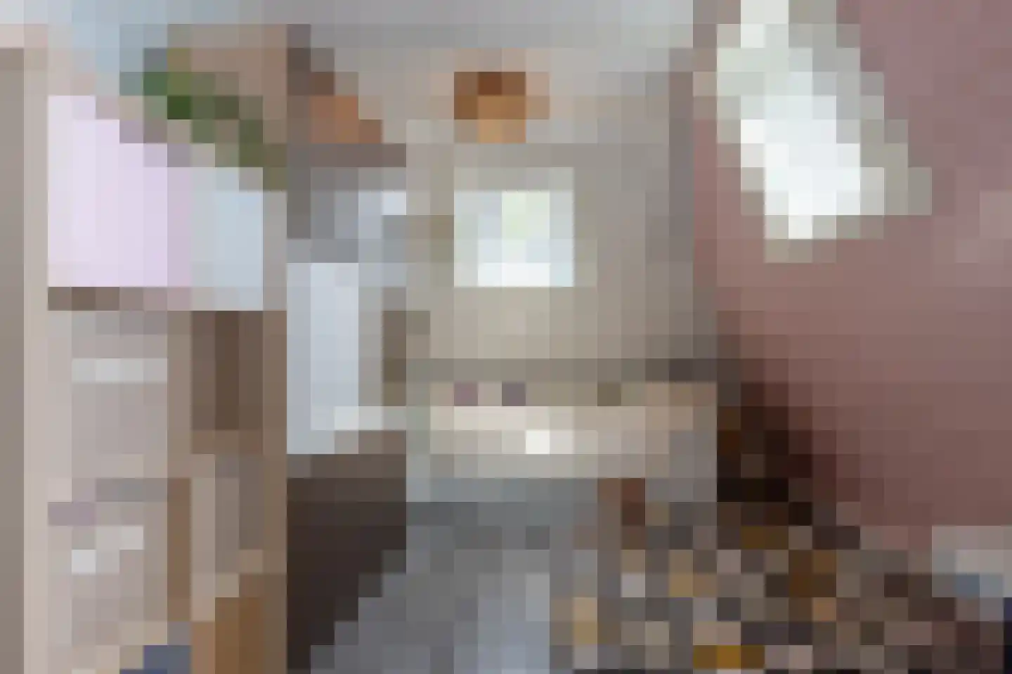 Meester Gerritsweg 2 Eesveen thumbnail 39