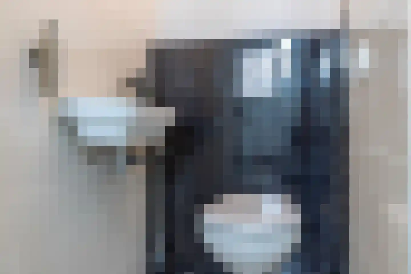 Meester Gerritsweg 2 Eesveen thumbnail 42