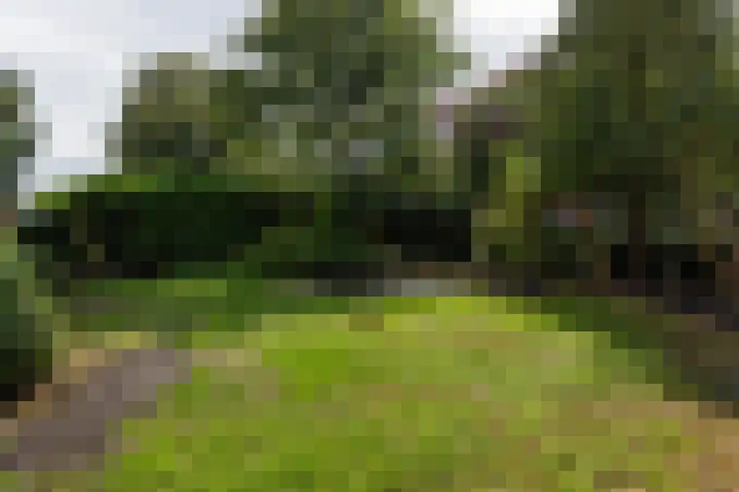 Meester Gerritsweg 2 Eesveen thumbnail 45