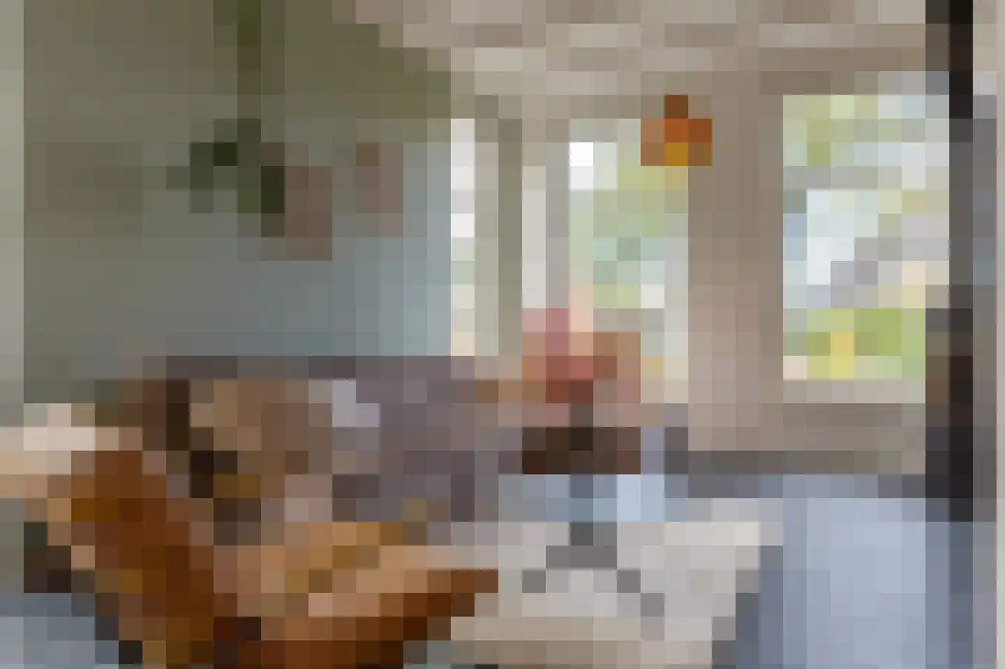 Meester Gerritsweg 2 Eesveen thumbnail 5