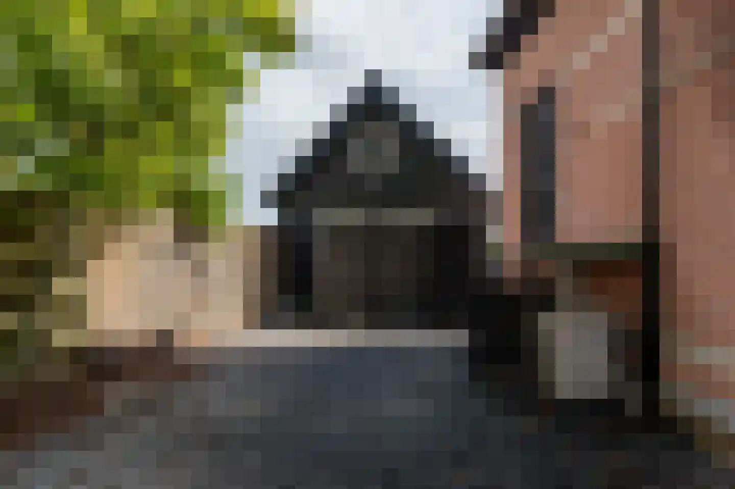 Meester Gerritsweg 2 Eesveen thumbnail 54