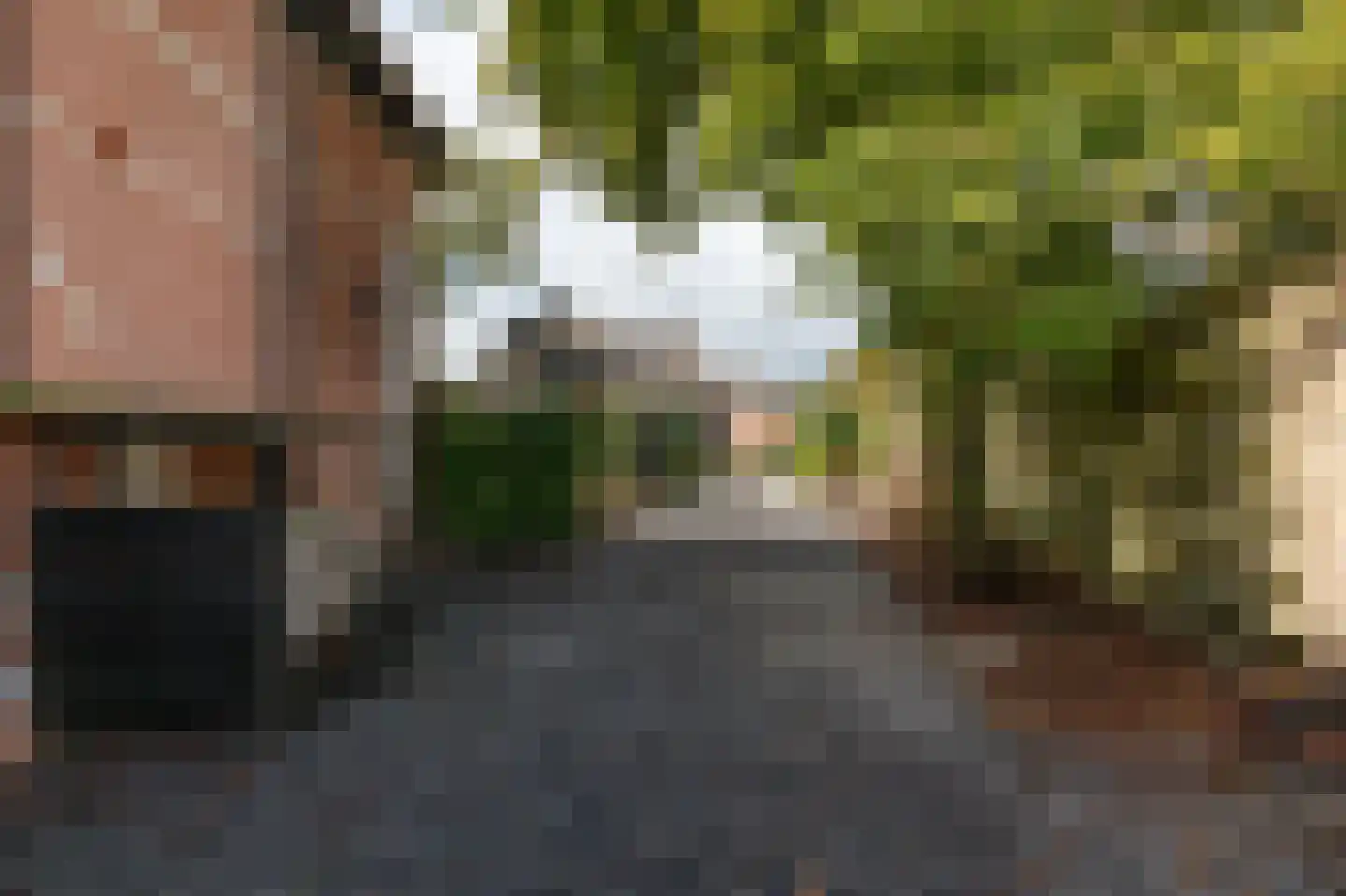 Meester Gerritsweg 2 Eesveen thumbnail 55