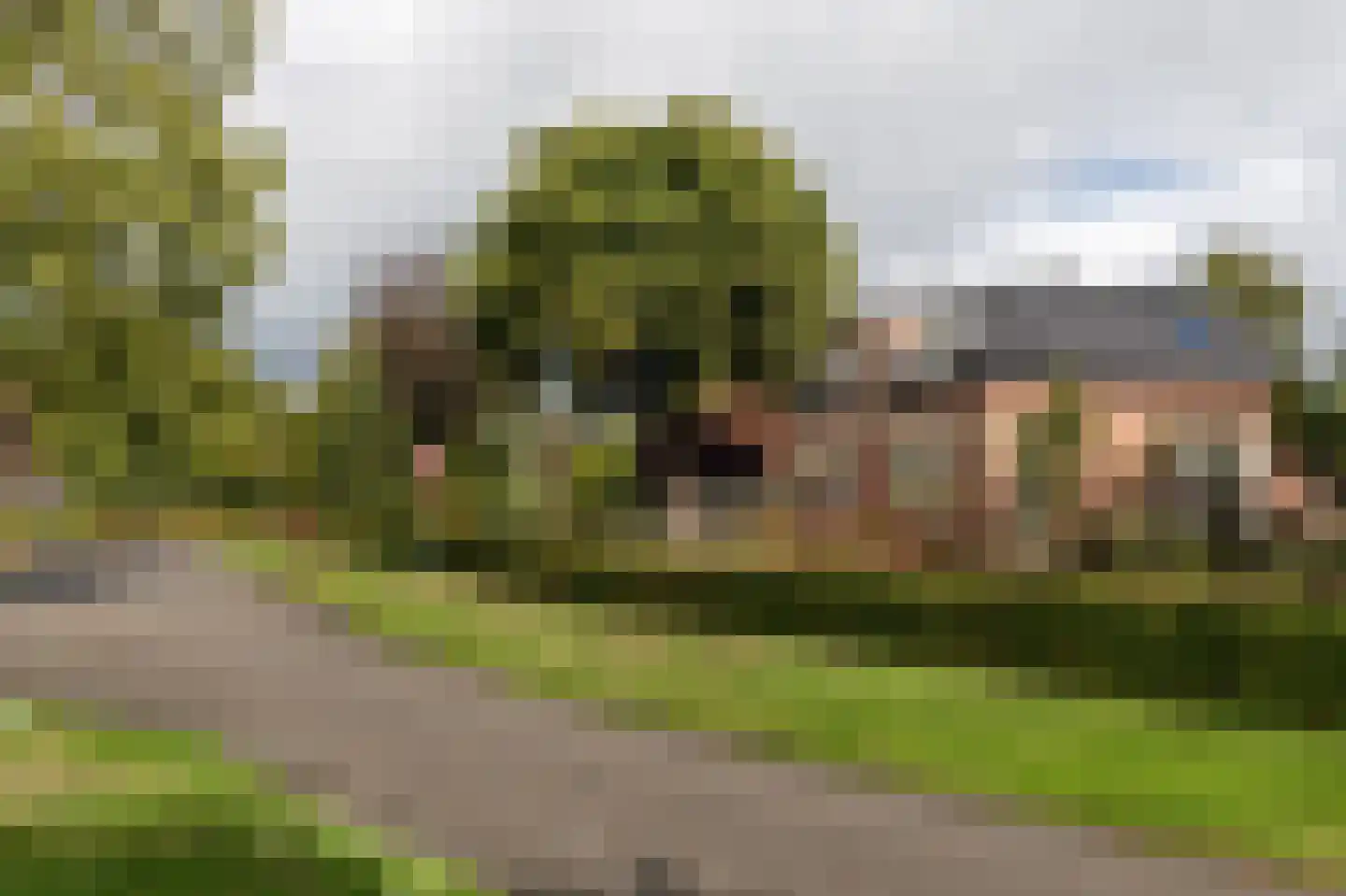 Meester Gerritsweg 2 Eesveen thumbnail 57