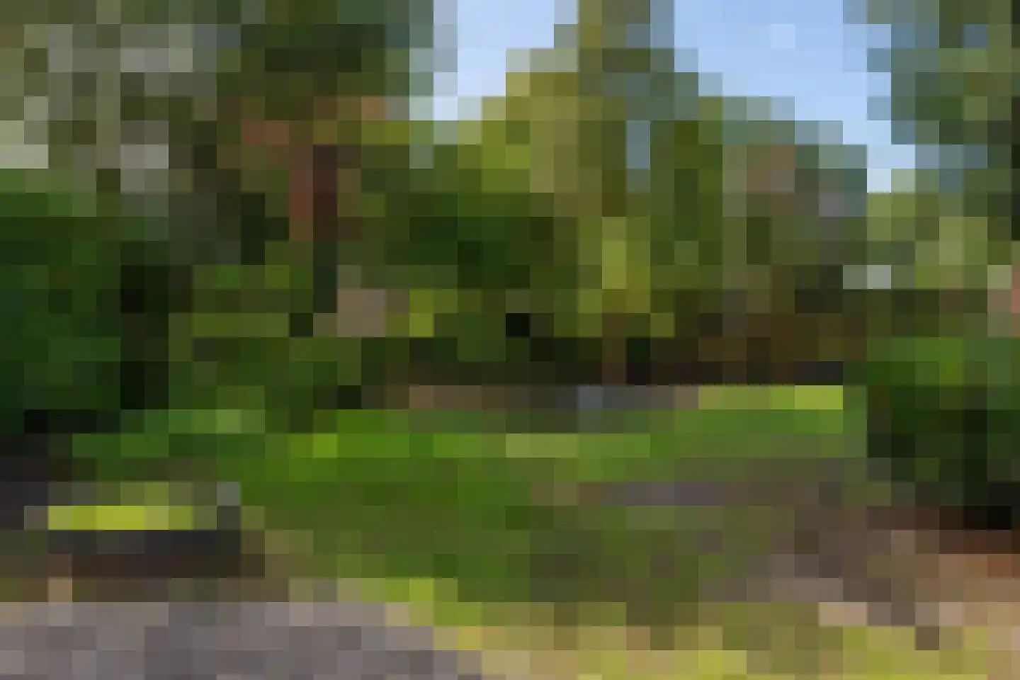 Meester Gerritsweg 2 Eesveen thumbnail 6