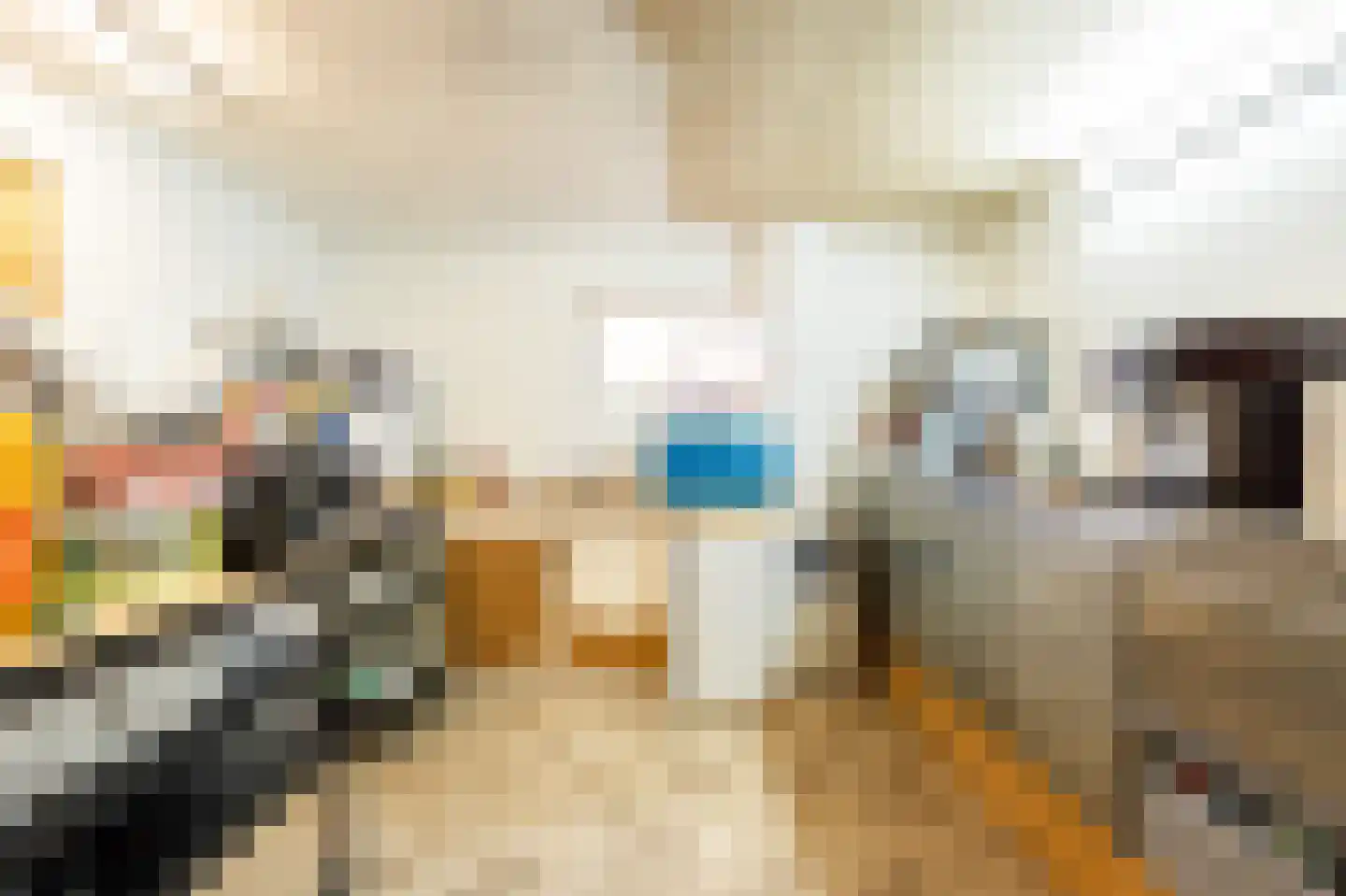 Meester Gorisstraat 29 Lemelerveld thumbnail 32