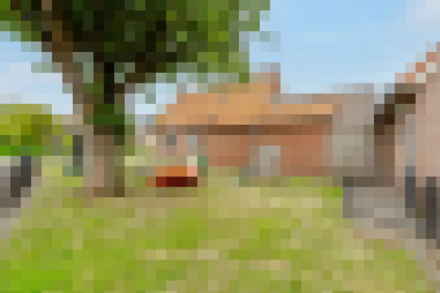 Meester Gorisstraat 29 Lemelerveld thumbnail 35