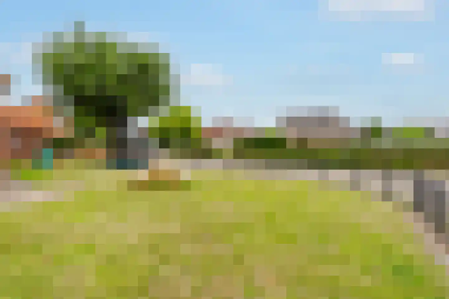 Meester Gorisstraat 29 Lemelerveld thumbnail 37