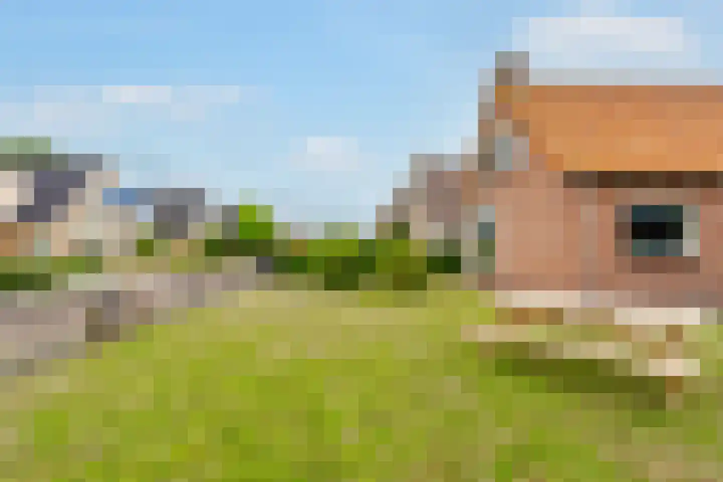 Meester Gorisstraat 29 Lemelerveld thumbnail 38