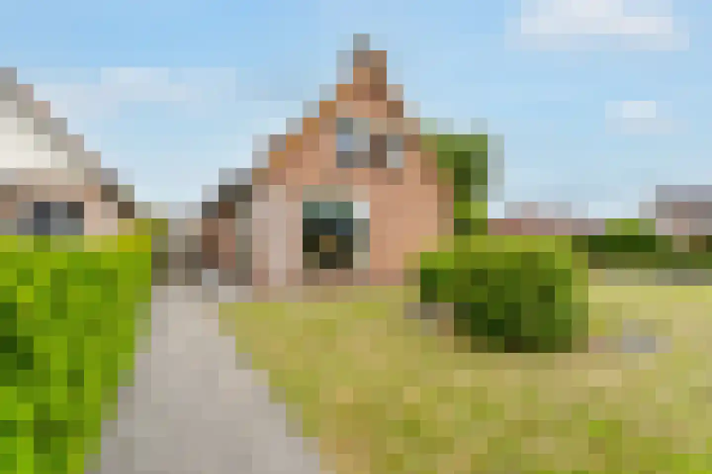 Meester Gorisstraat 29 Lemelerveld thumbnail 4