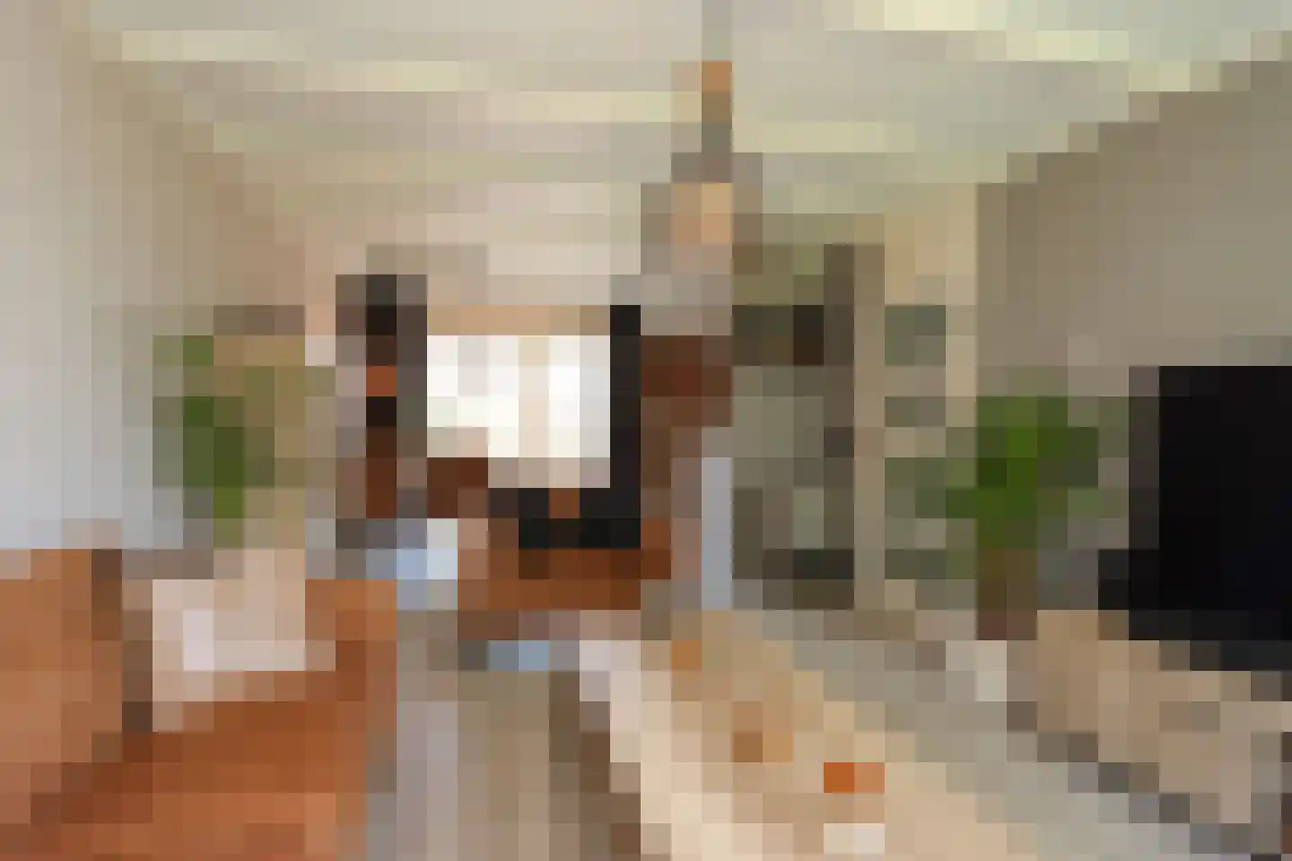 Meester H. Liststraat 2 Luttelgeest thumbnail 12