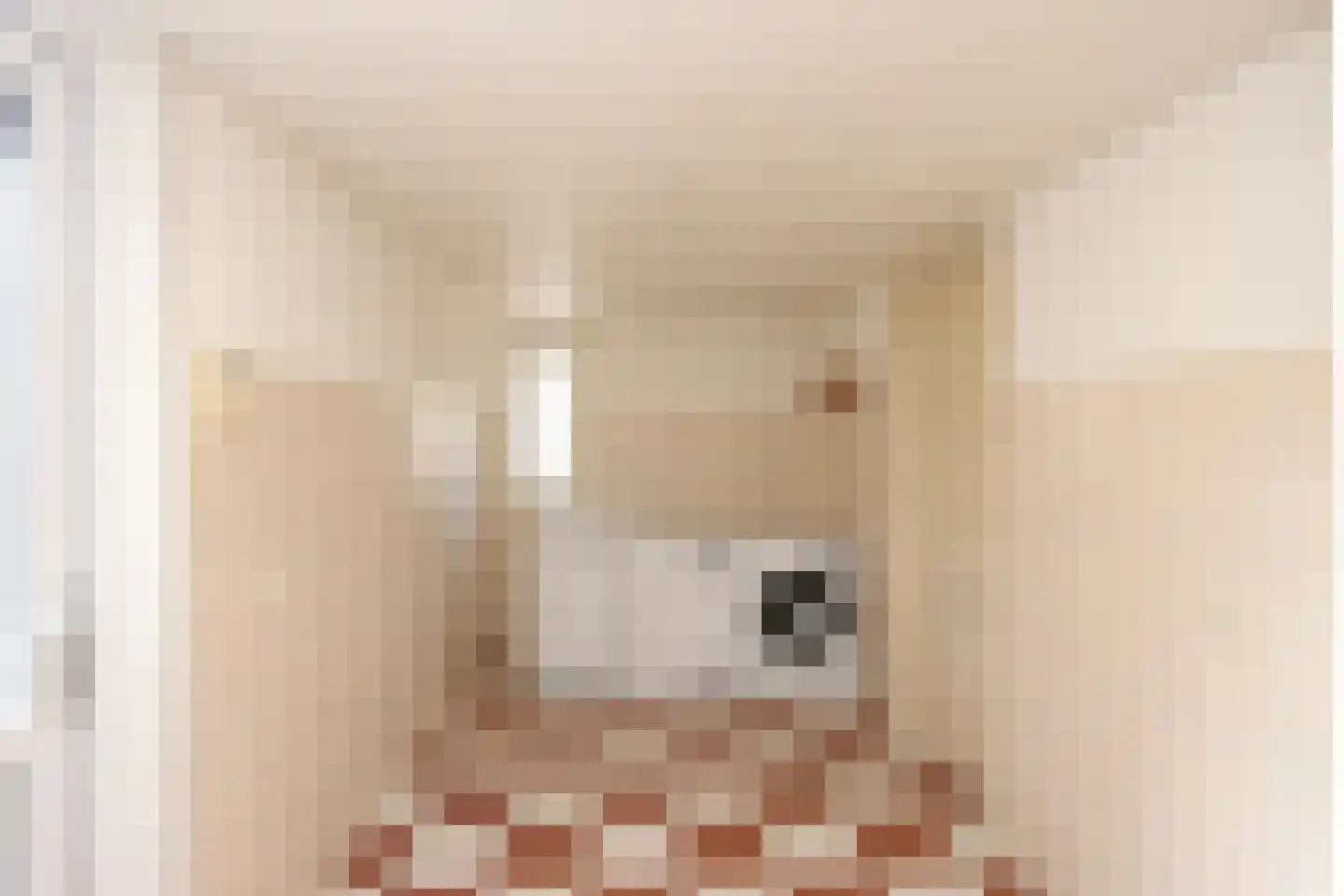 Meester H. Liststraat 2 Luttelgeest thumbnail 21