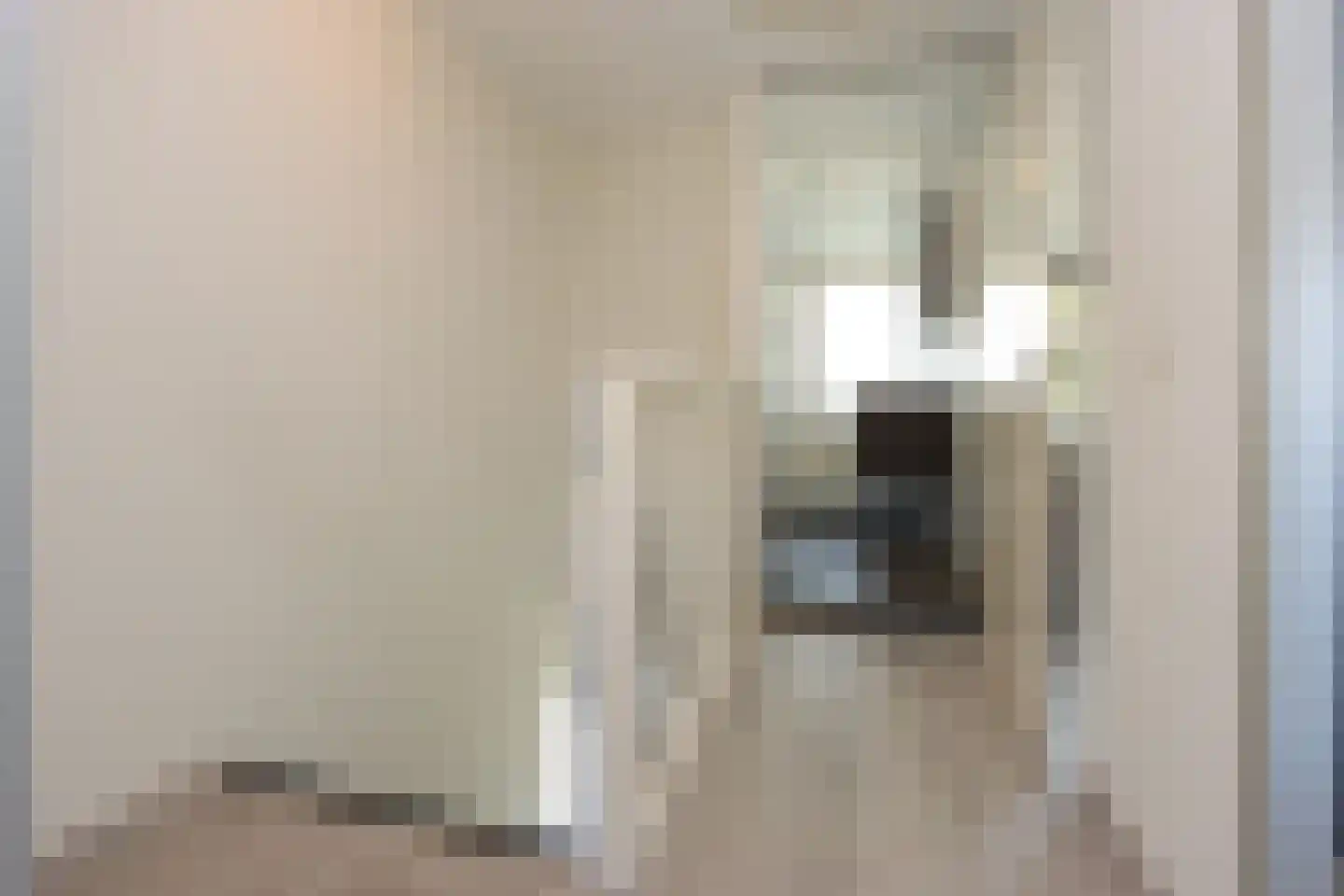 Meester H. Liststraat 2 Luttelgeest thumbnail 32
