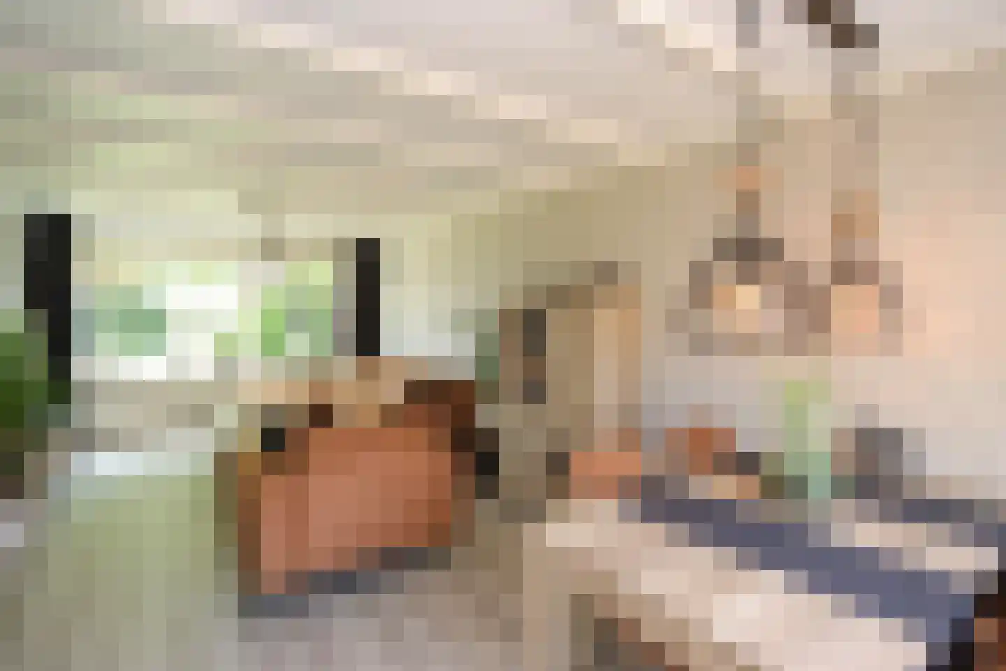 Meester H. Liststraat 2 Luttelgeest thumbnail 9