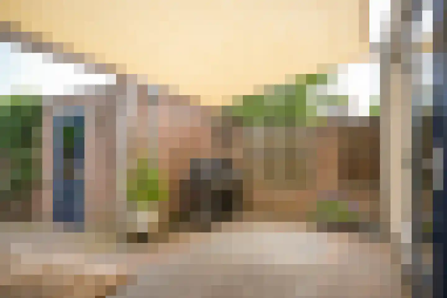 Meester Haafkensstraat 17 Lexmond thumbnail 32
